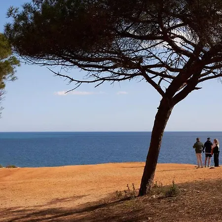 شقة Seaside Serenity Beachside